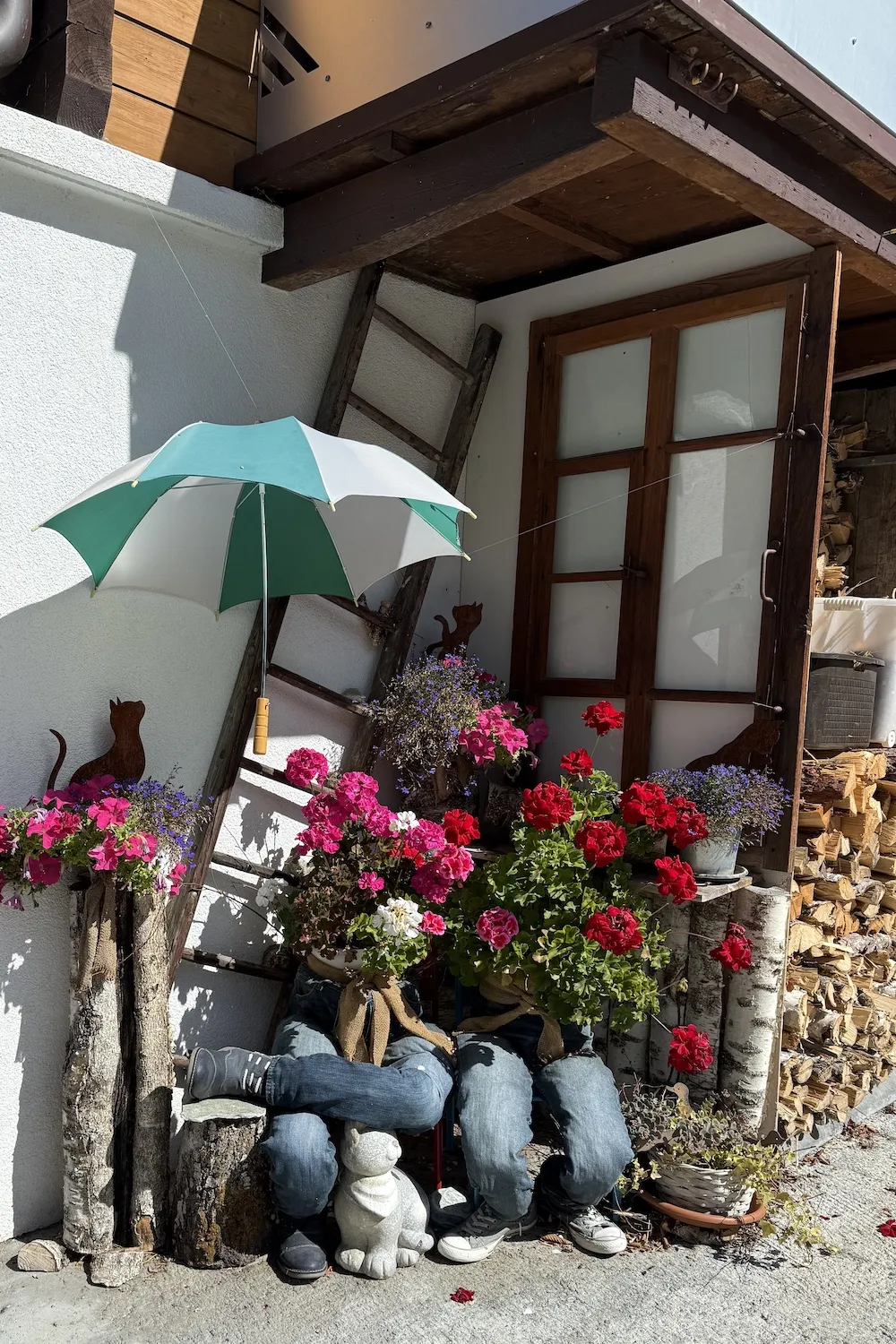 Flowers contained in jeans as a pot