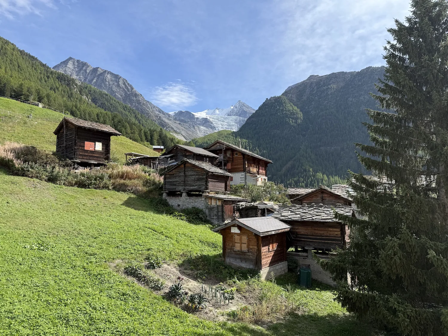 Houses with a small garden in the foreground