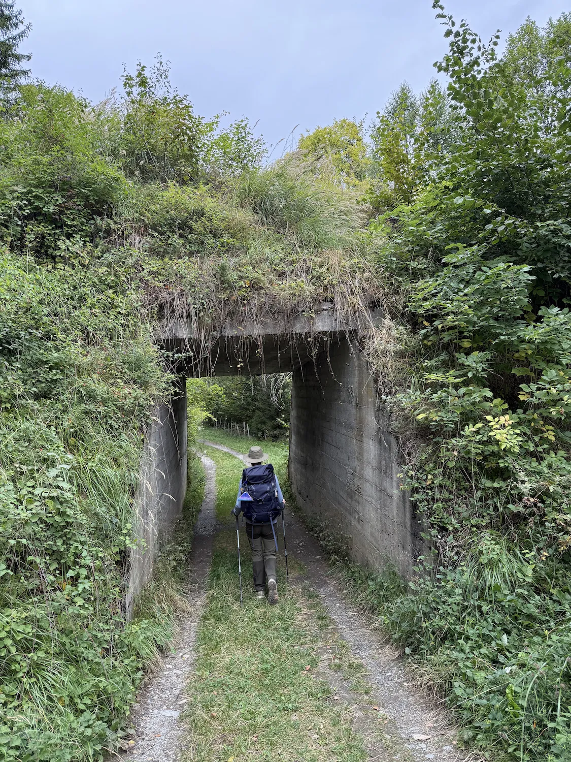 Walking through a tunnel covered in greenery