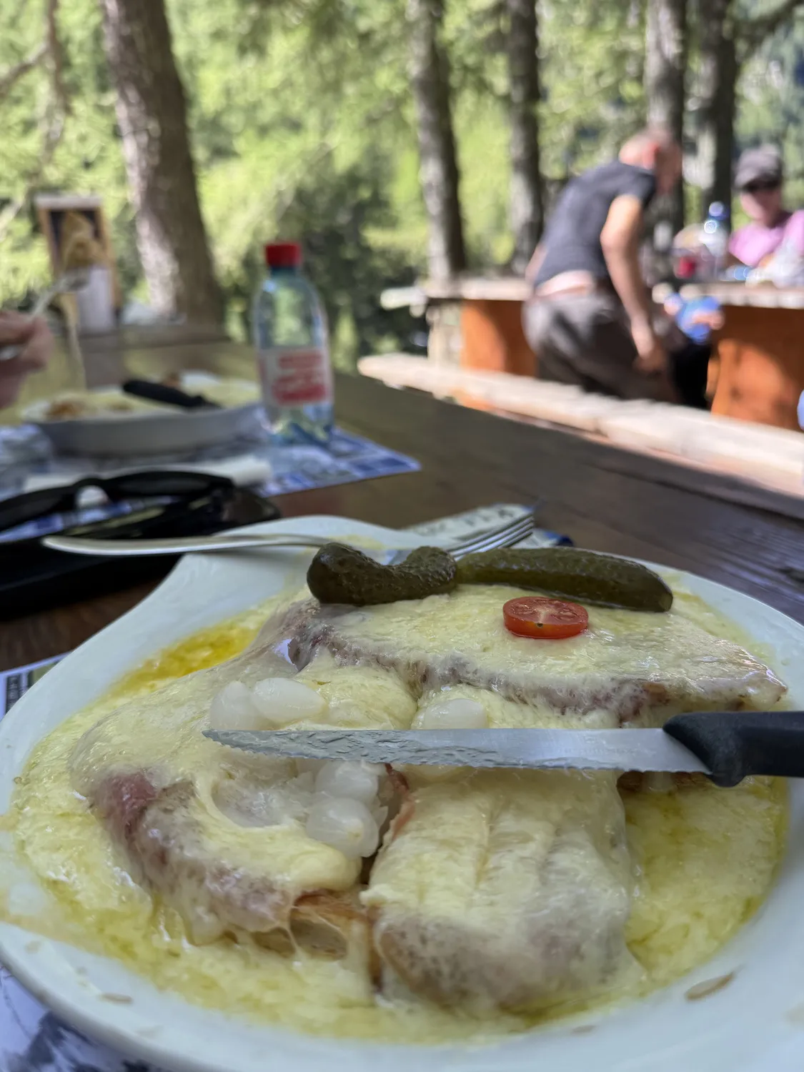 Lots of melted cheese on plate